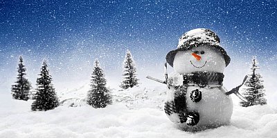 Holiday_Outdoor_Snowman_10x20.jpg
