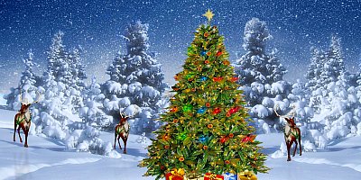 Holiday_Snow_Trees_Reindeer_10x20.jpg