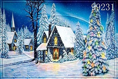 Outdoor_Snowy_Christmas_Holiday.JPG
